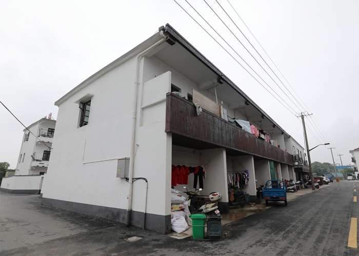 新埭大齊塘改造