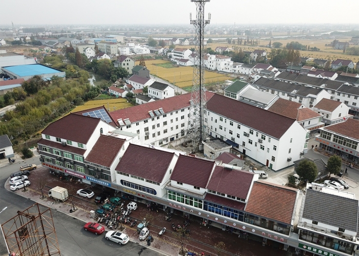 新埭大齊塘改造