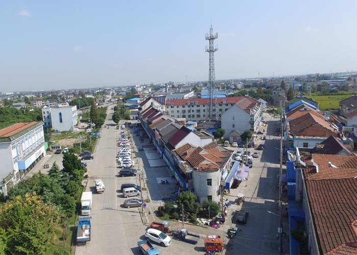 新埭大齊塘改造