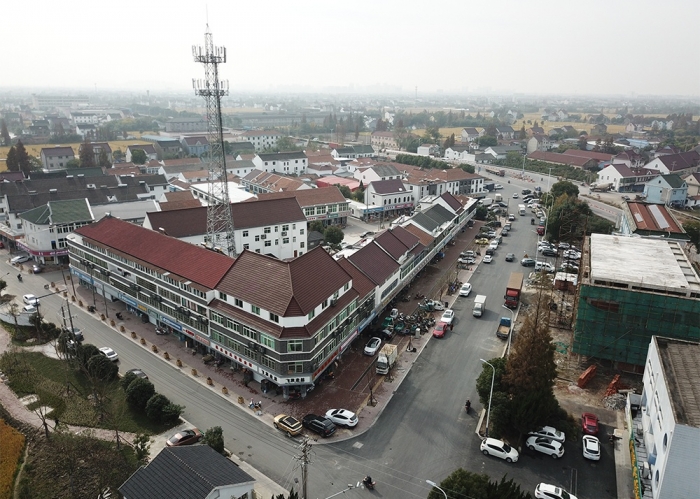 新埭大齊塘改造