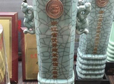 我公司承接的浙江省榮軍醫(yī)院遷建項目幕墻工程榮獲“浙江省優(yōu)秀建筑裝飾工程獎”