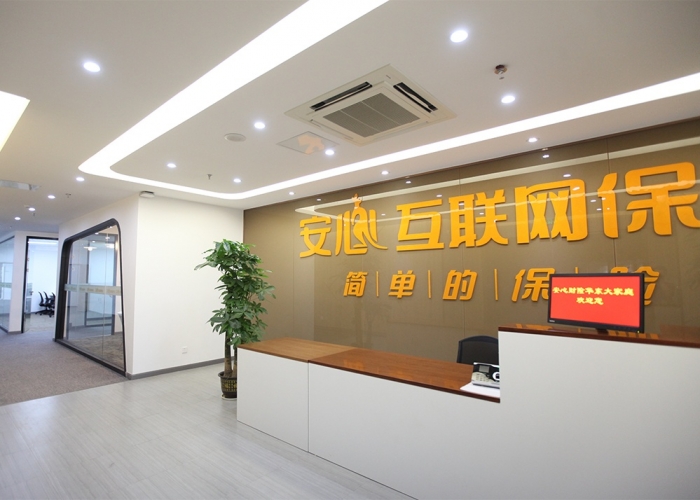 安心財(cái)險(xiǎn)裝飾