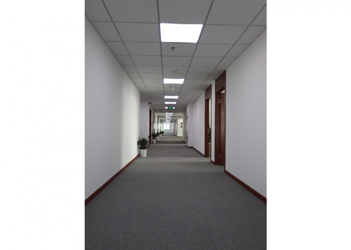 南湖金交所裝飾