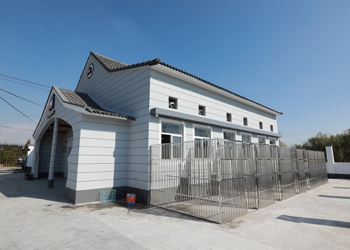 乍浦流浪狗收容所裝飾