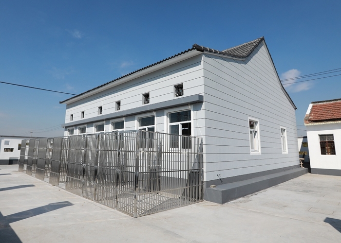 乍浦流浪狗收容所裝飾