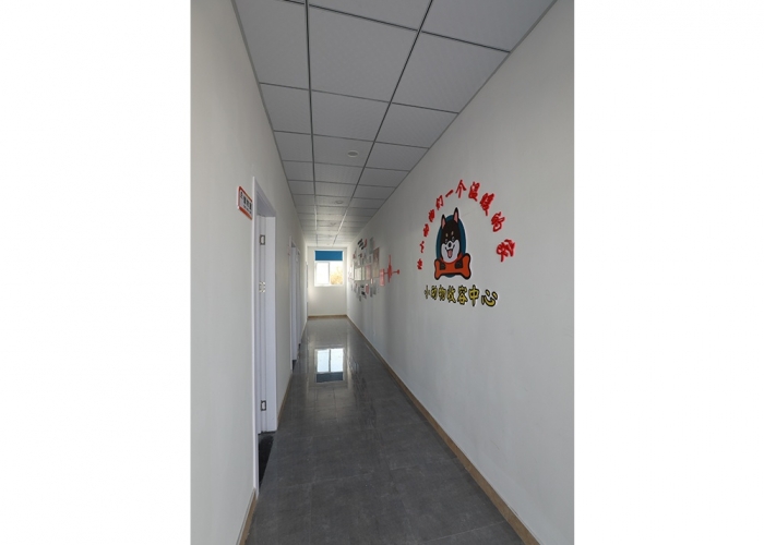 乍浦流浪狗收容所裝飾