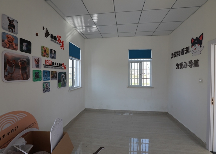 乍浦流浪狗收容所裝飾