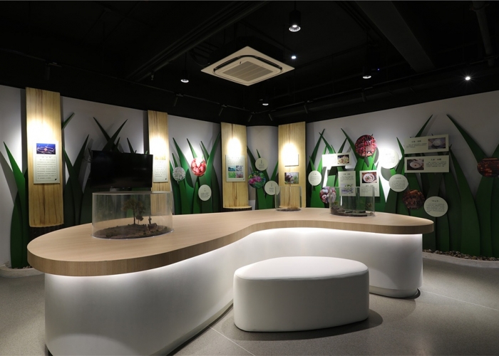 云寶二十四節(jié)氣館